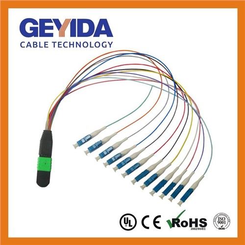 MPO Fiber Optic Patch Cord（FOJ）