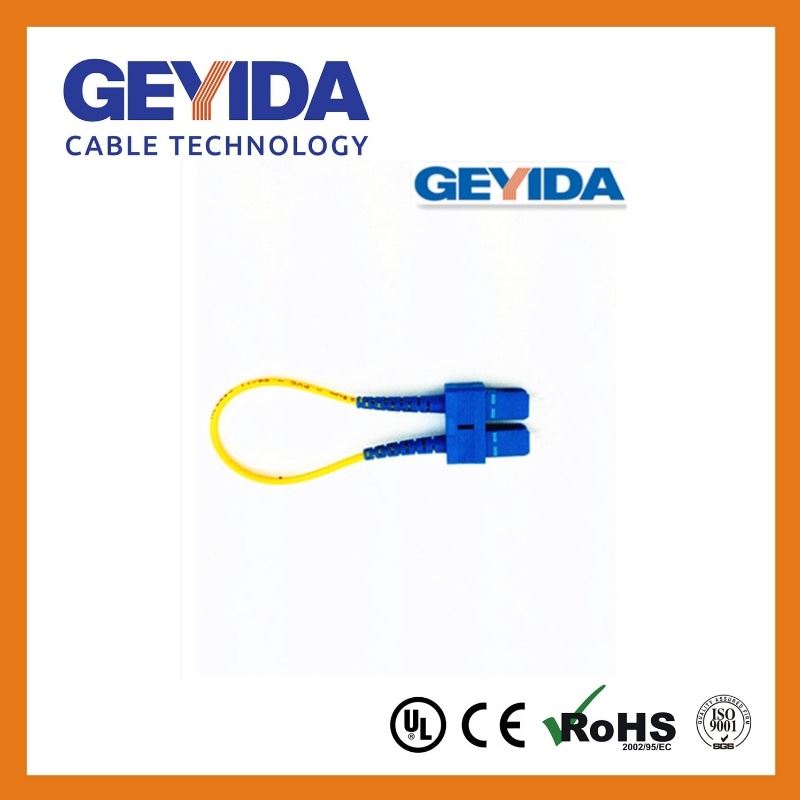 Sc - Sc (SMF) Duplex Loopback, 100ge - Lr4